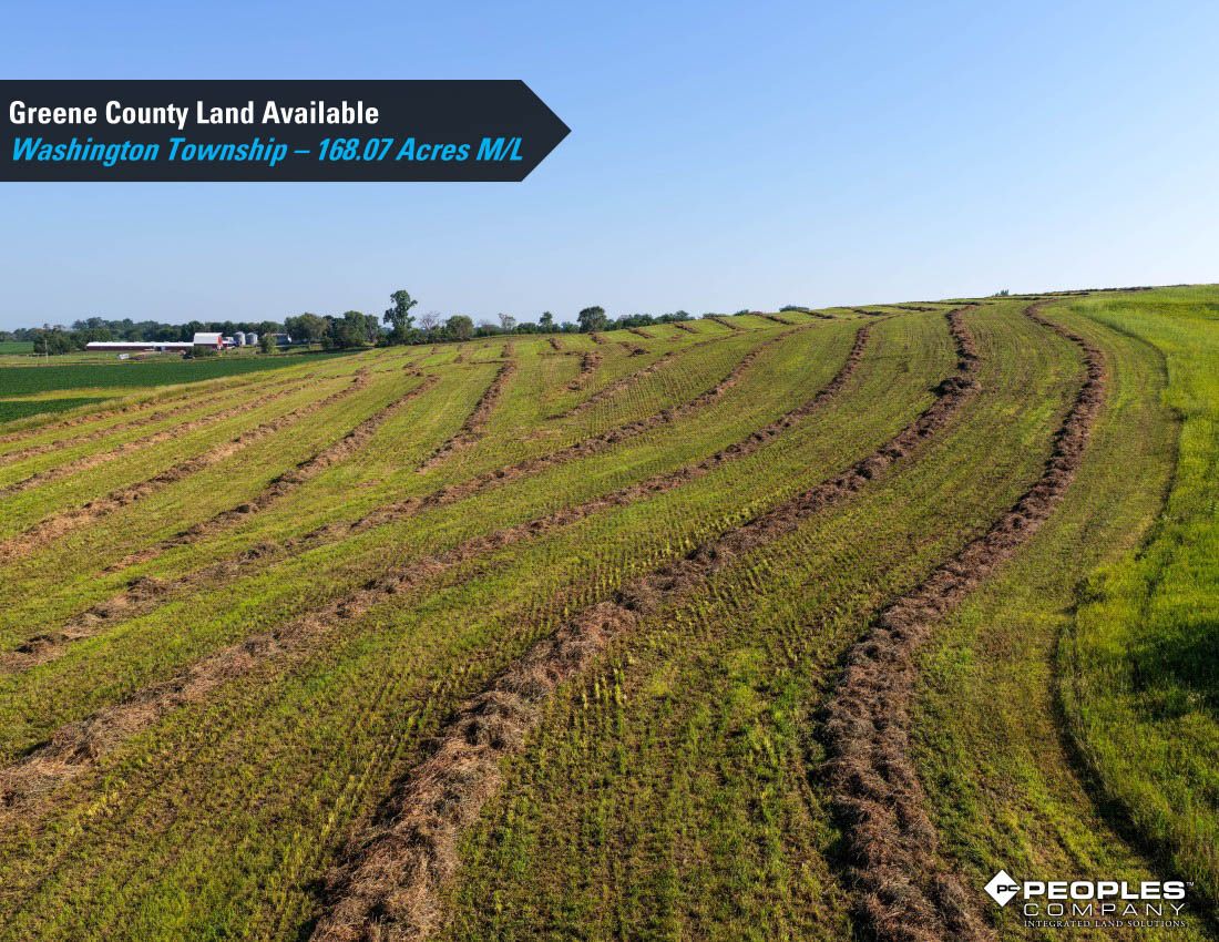 Listing Photo: Greene-County-Land-Available-168-Acres-19616 (6)